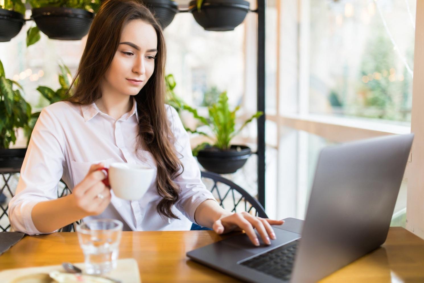 SEO apmācību programmas vizuālais pārskats